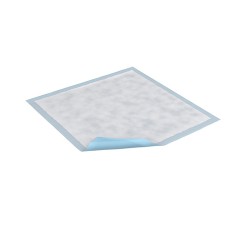 Essity Tena 352 Regular Underpad 23x36 Case150